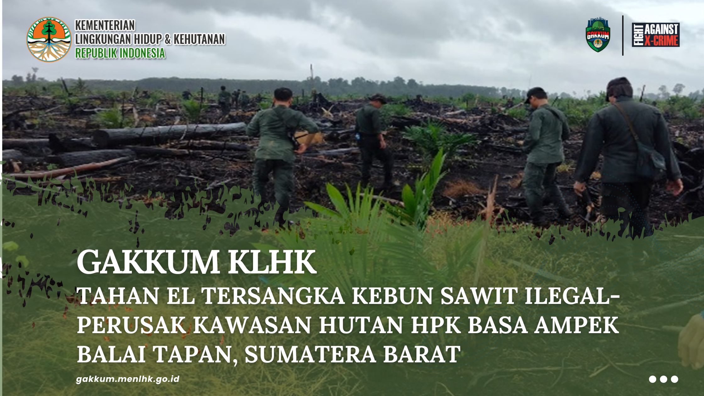 GAKKUM KLHK TAHAN EL TERSANGKA KEBUN SAWIT ILEGAL-PERUSAK KAWASAN HUTAN ...